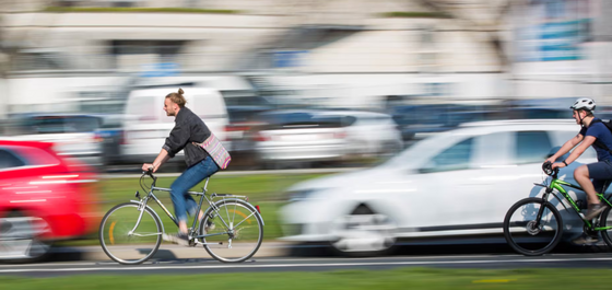 Den Artikel lesen: Dresdner Sportmedizinerinnen erklären, warum Fahrradfahren so gesund ist